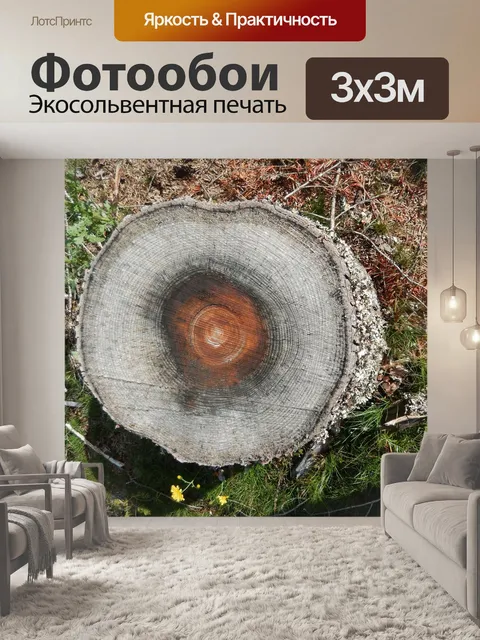 Фотообои Древесной коры