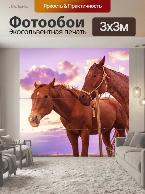 Фотообои Лошади