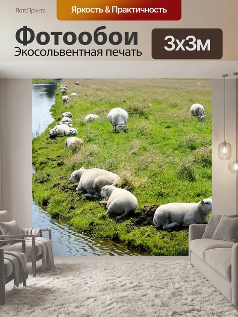 Фотообои Овца