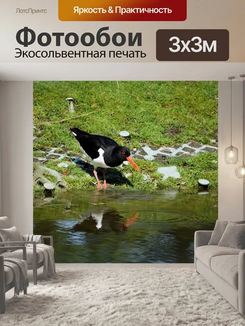 Фотообои Птицы