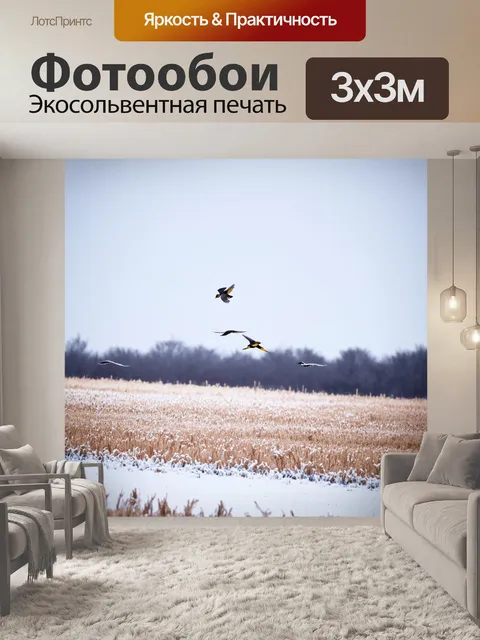 Фотообои птицы, летающие над лугом во время яркого снега, создающем игривую атмосферу, где каждый полет захватывает…