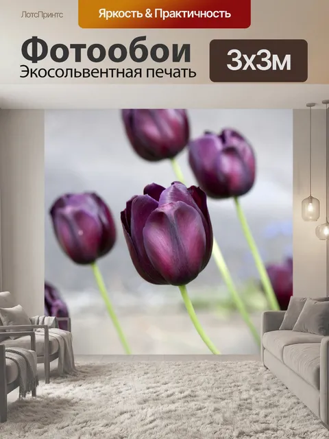 Фотообои Тюльпаны