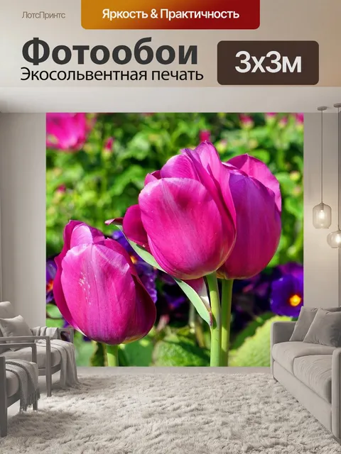 Фотообои Тюльпаны