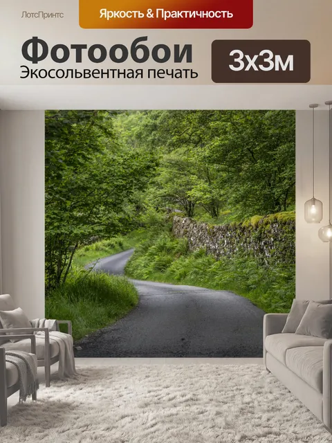 Фотообои Путь через лес