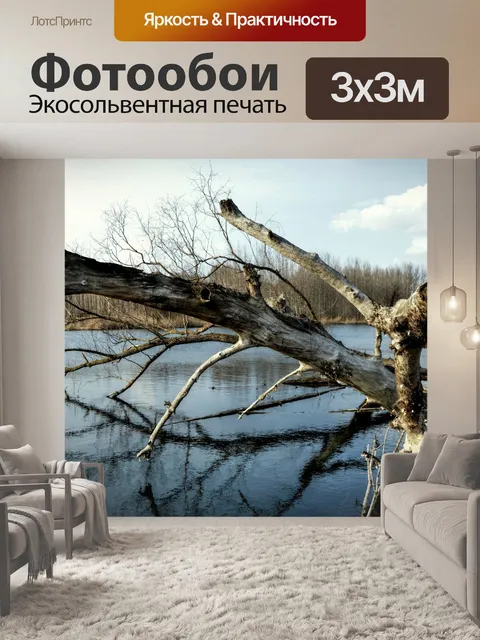 Фотообои Ствол дерева в реке