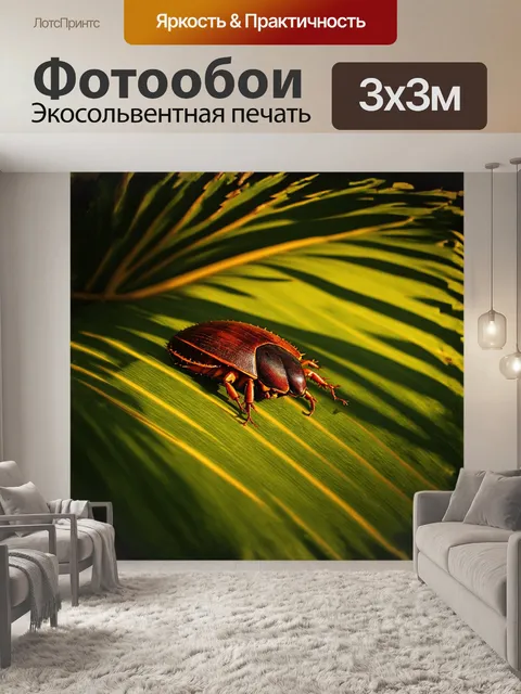 Фотообои вечерний отпечаток: гигантский мадагаскарский таракан затаился на тропическом листе