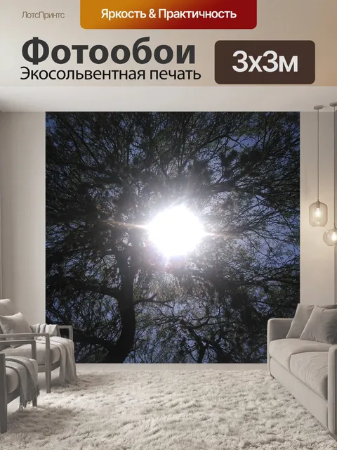 Фотообои Солнечный свет