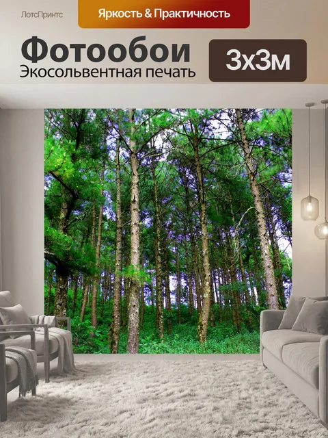 Фотообои Сосновый лес