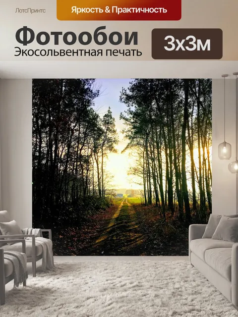 Фотообои Лес