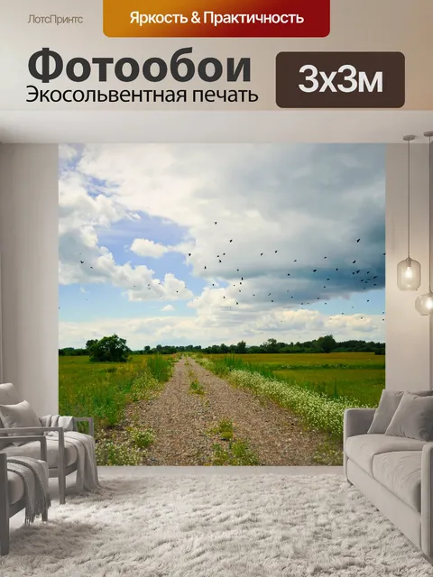 Фотообои Поле дороге