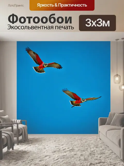 Фотообои птицы в полете