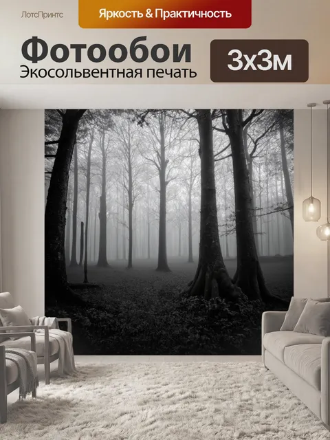 Фотообои черно-белый: сказочный лес в тумане с высокими, стройными деревьями