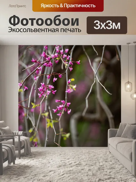 Фотообои Цветок