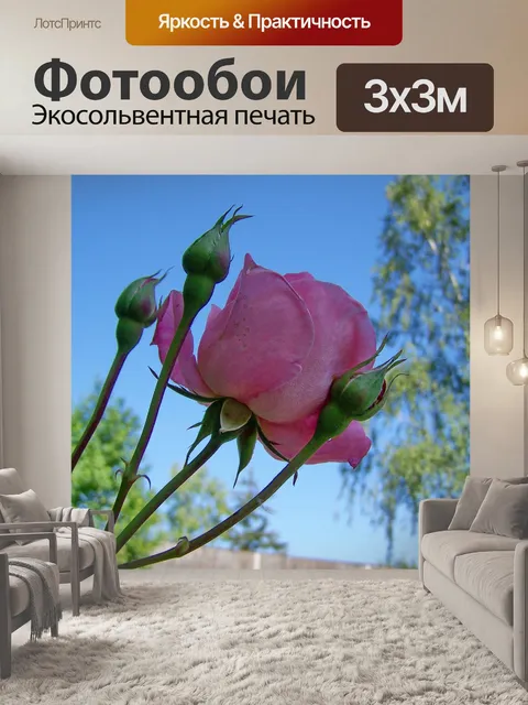 Фотообои Лепестки роз