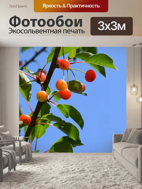 Фотообои Вишни