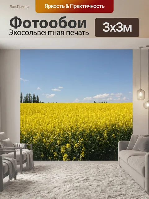 Фотообои Простор