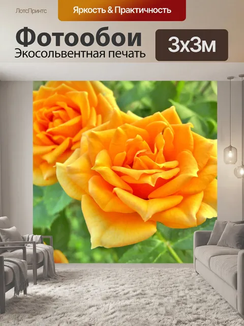 Фотообои Розы