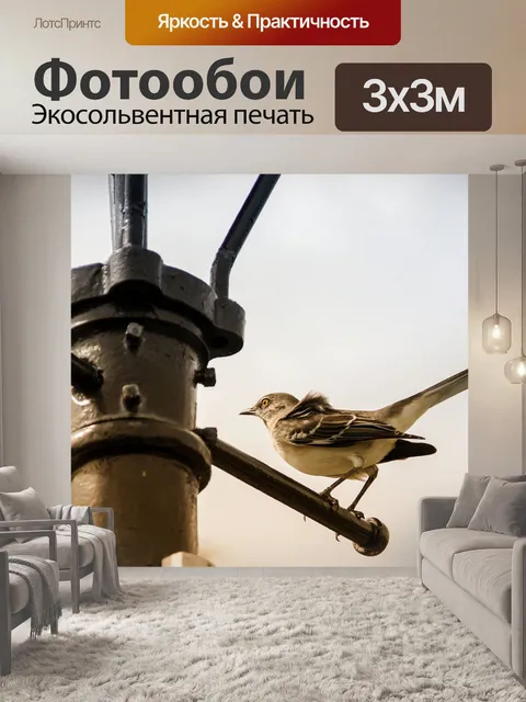 Фотообои Птица