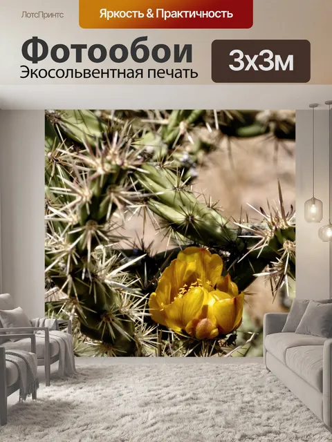 Фотообои Желтые цветы кактусов