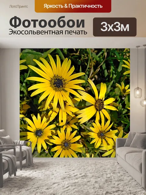 Фотообои Цветок