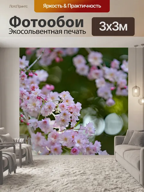 Фотообои Вишни в цвету