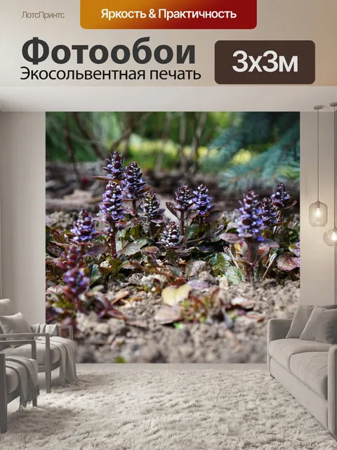 Фотообои Цветы