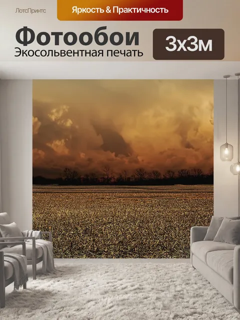 Фотообои Буря
