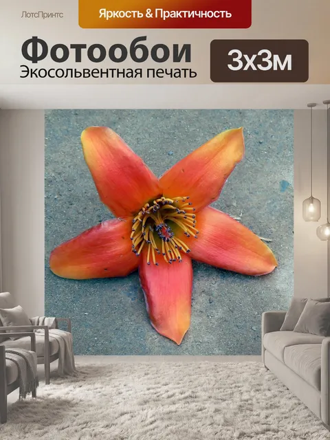 Фотообои Тюльпанное дерево