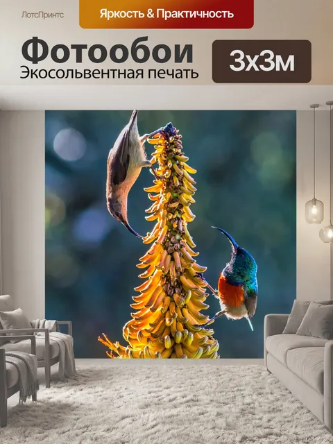 Фотообои Солнечная птица
