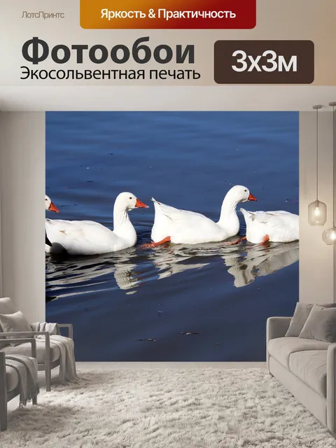 Фотообои Гуси