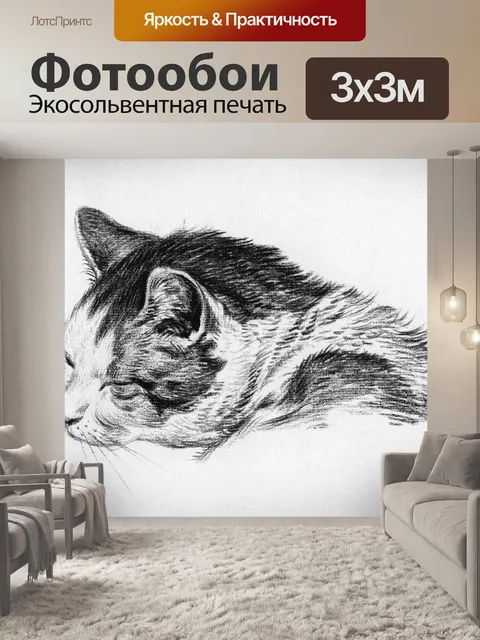 Фотообои Котенок милый винтаж