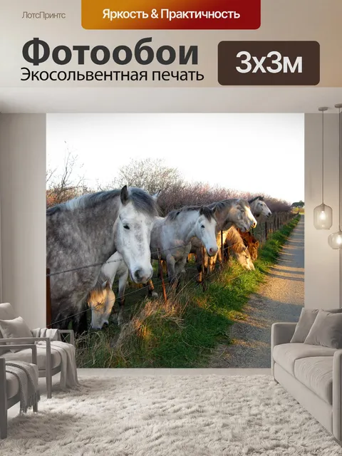 Фотообои Лошади
