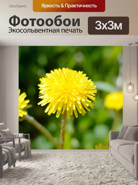 Фотообои Одуванчик