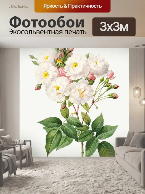 Фотообои Нарисованный цветок розы