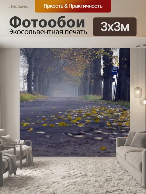 Фотообои Дорожка