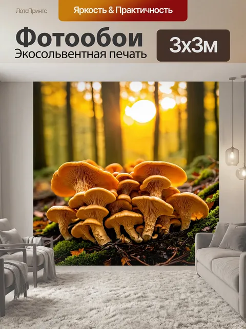 Фотообои грибы лисички на фоне заката в лесу, с золотистыми лучами света, напоминающими о духе осени
