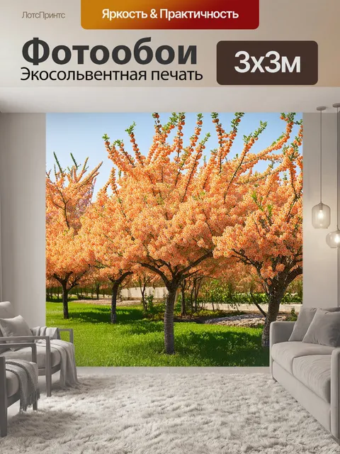 Фотообои абрикосовые деревья вырастают в саду, полном ярких ароматных фруктов, с легкой дымкой на горизонте