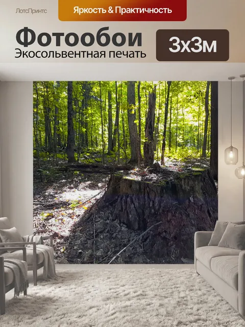 Фотообои Лесной пейзаж