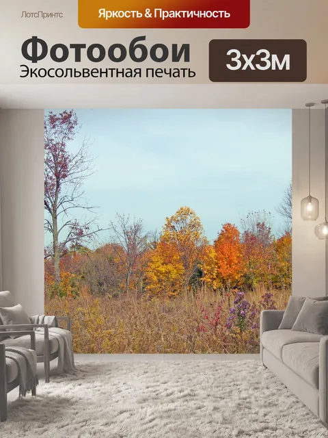 Фотообои Осень поле