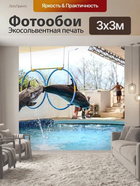 Фотообои Дельфин