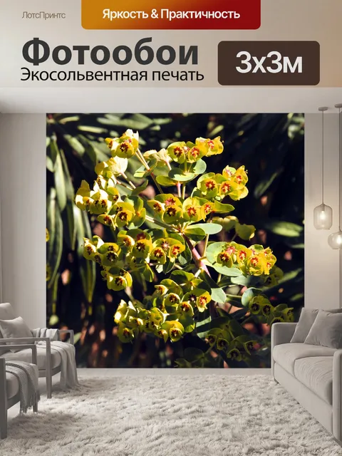 Фотообои Кластер из желтых цветов