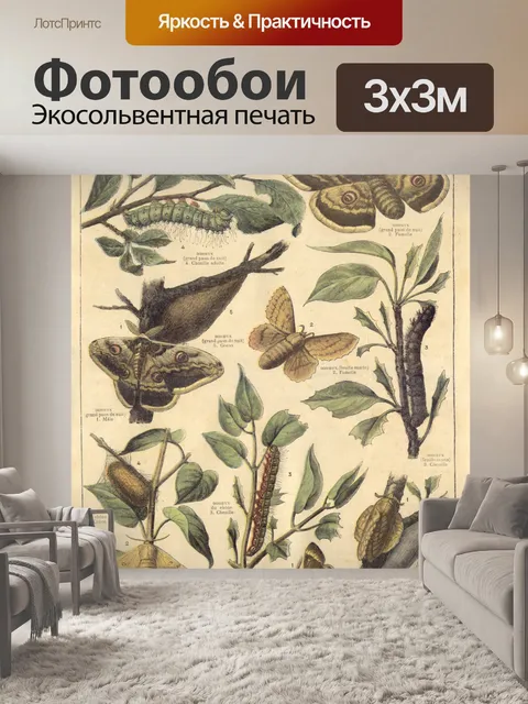 Фотообои Папийон бабочка винтаж старый
