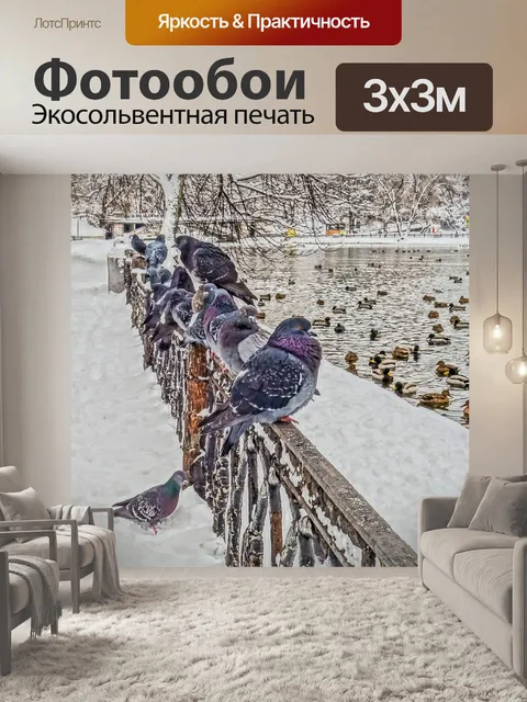 Фотообои Птица