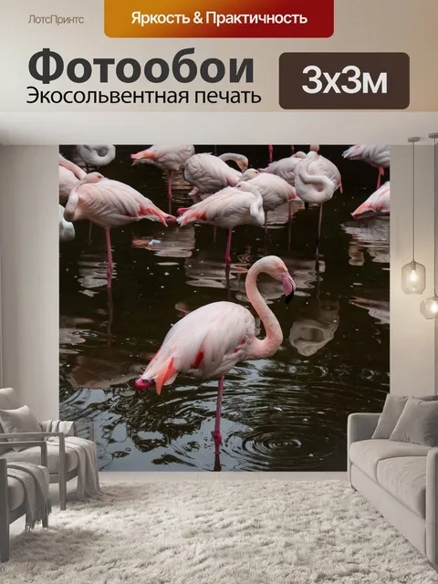 Фотообои Фламинго