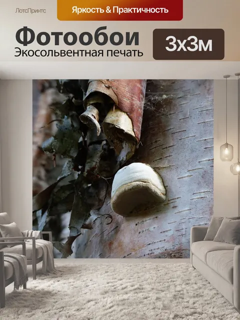 Фотообои Грибок
