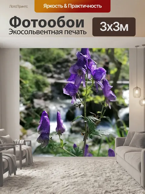 Фотообои Цветок
