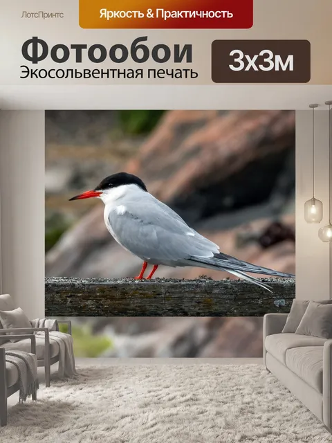 Фотообои Природа