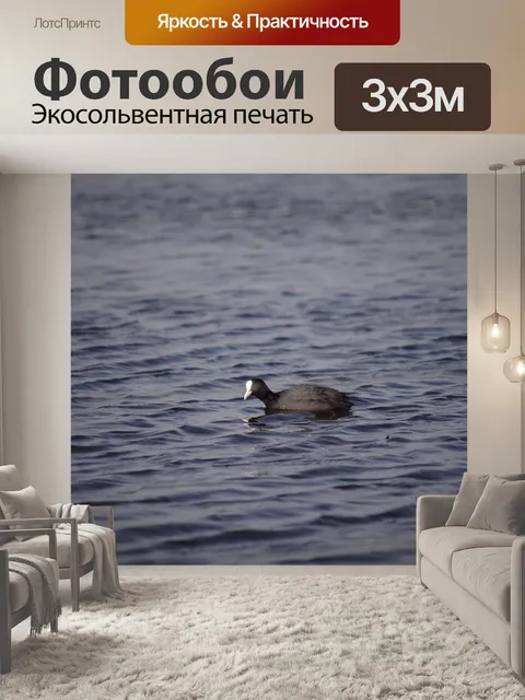 Фотообои Птица