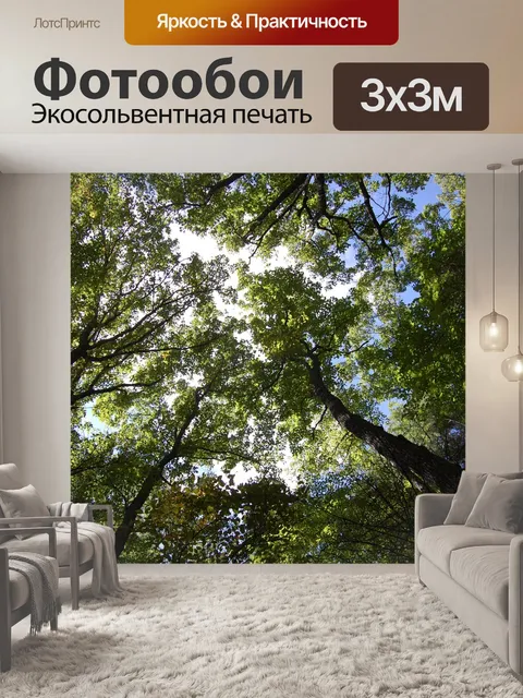 Фотообои Деревья