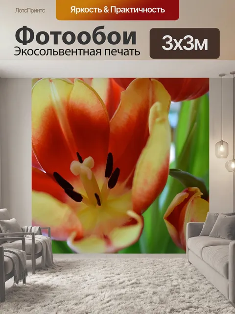 Фотообои Тюльпаны